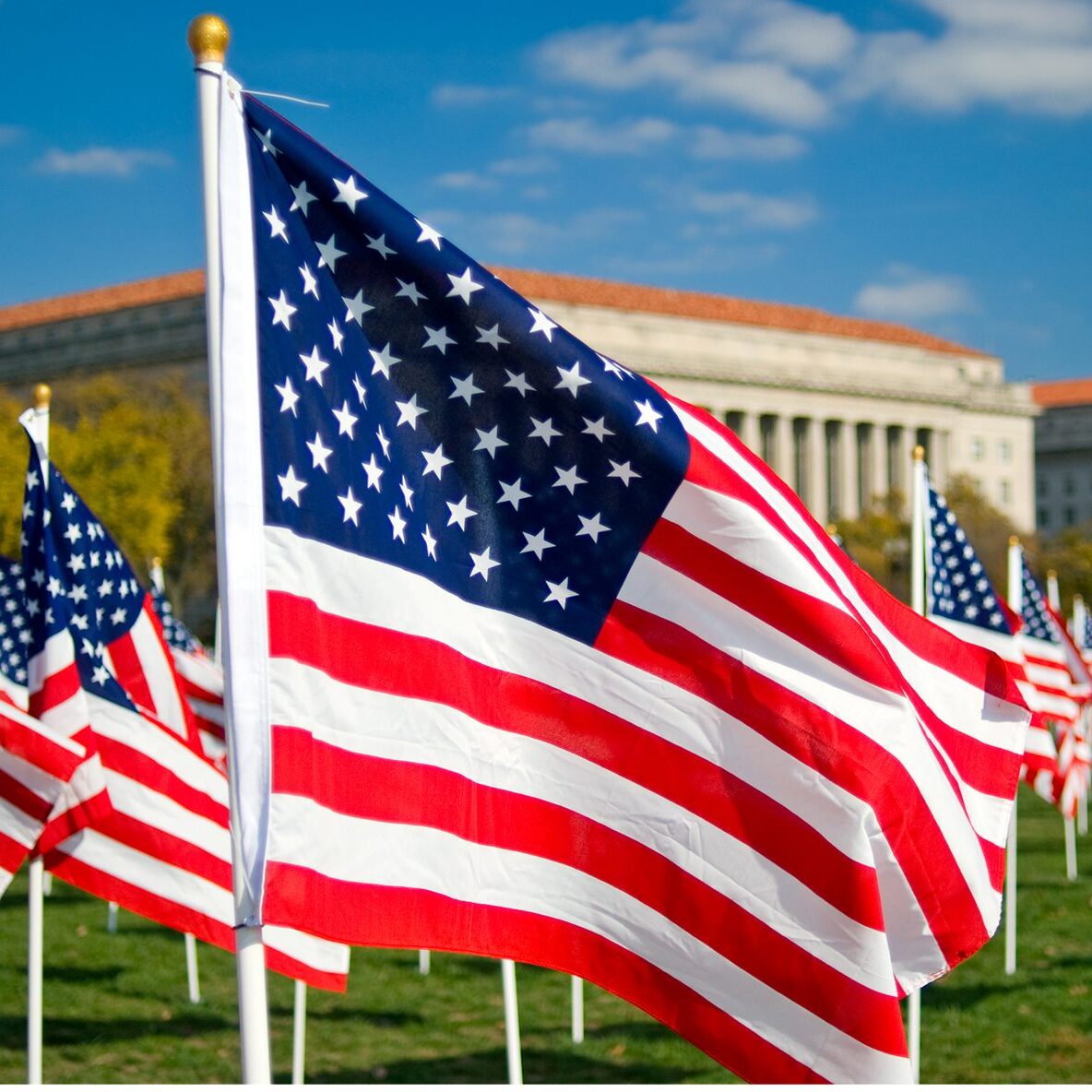 American flags on display outside building.
